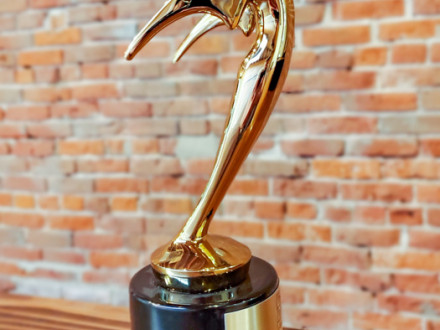 Boilermakers’ film partner Wide Awake Films won a Bronze Telly award for the video they produced about the L-D239 lockout.