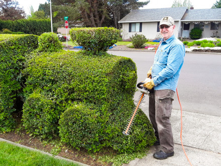 John Bemis keeps his train looking sharp. During the growing season, Bemis spends about four hours with trim and clean-up every 10 days to keep his topiary train in tip-top shape.