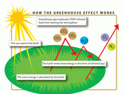 How the Greenhouse Effect works